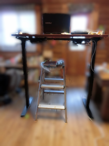 スタンディングデスクの椅子としての脚立